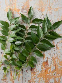 সিএল
