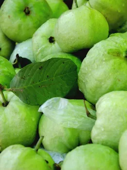 পেয়ারা