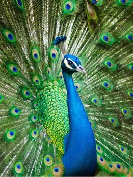 শিরোনামহীন ডিজাইন - 2023-04-07T160202.143