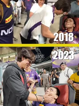 srk KKR (10)