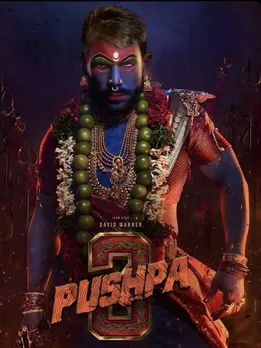 ডেভিড ওয়ার্নার পুষ্পা আল্লু অর্জুনের চেহারা কপি করেছেন