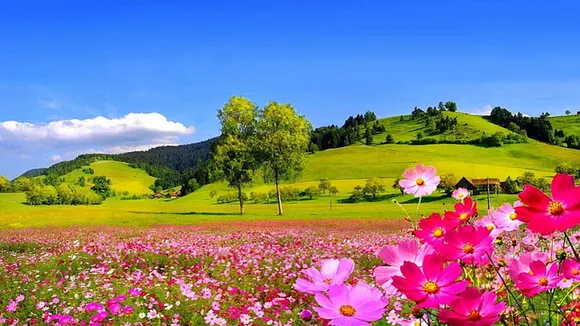 Munsong is may be your perfect tourist destination