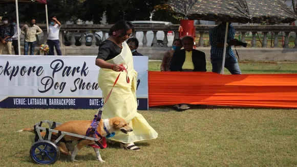 Street dog, Dog lover, Stree dog care, Hooghly News, কুকুর