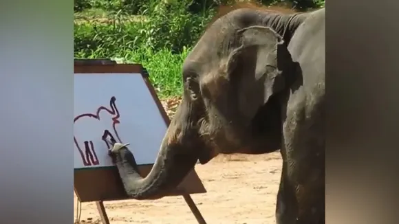 Social Media Viral Video,Social Media Viral videos,Elephant Made Painting Viral Video,वायरल वीडियो,हाथी का पेंटिंग,Trending Video,Funny Video,Interesting Video,Ajab Gajab Video,News and Viral Video,Animal Funny Video