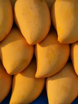 আম 6