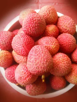 শিরোনামহীন ডিজাইন - 2023-05-09T145658.502