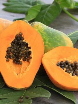 শিরোনামহীন ডিজাইন - 2023-05-18T121202.628