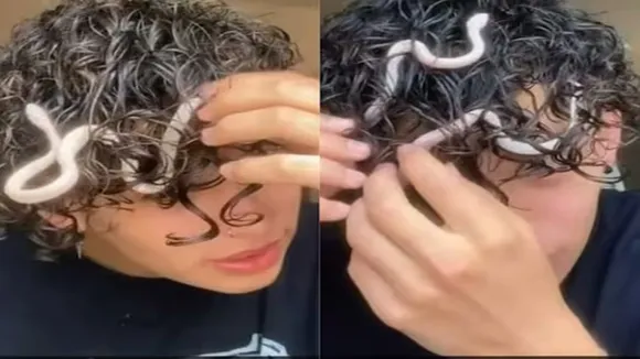 snake stuck in hair, snake in hair, snake in curly hair, snake video viral, balo me fasa saanp,poisonous snake video,Poisonous Snake was hidden Inside office printer,snake got stuck in man curly hair,Weird Snake Video,snake stuck in hair,snake stuck in human curls,Pet Snake,snake video,Snake Video Viral,Snake video is going viral,trending video,Viral Video,Shocking Video,creepy video,Snake Video,Funny Video,Viral News,Trending News,Latest News In Hindi,ODD News,Social Media,"/>