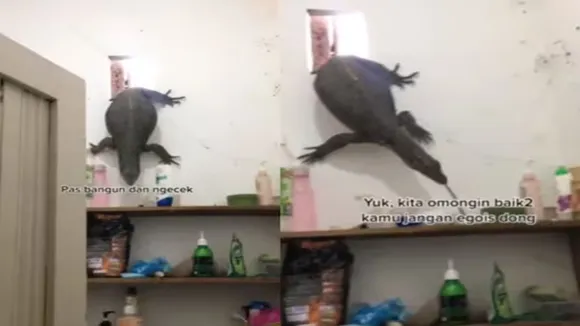 wildlife viral video, girl bathing in bathroom unwanted guest came in, bathroom me aya mehman, Unwanted Guest in Bathroom, Viral Video, trending video, Unwanted Guest in Bathroom, wildlife video,