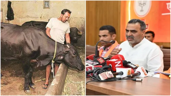 livestock bill, Live-stock, Live-stock Products, govt withdraws live stock bill, indian express"
