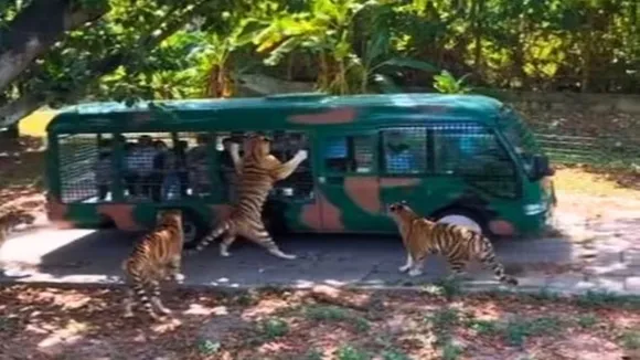 bizarre news, OMG News, Trending news, viral news, weird news