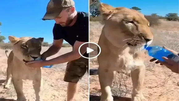 Ion, drinking water, from bottle, ifs sushant nanda, viral video