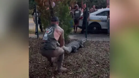 Alligator, Alligator Rescue, shocking video, trending videos, viral videos"