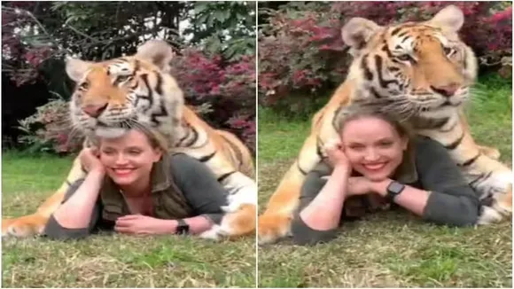 Viral Video of Tiger, Trending Video of Tiger, Amazing Video of Tiger, Shocking Video of Tiger, Hatke Khabar, Khabren Zara Hatke, latest tending Video of Tiger, trending Video of Tiger on twitter, trending Video of Tiger on facebook, trending Video of Tiger on instagram, trending Video of Tiger on youtube, Photosoot With Tiger,