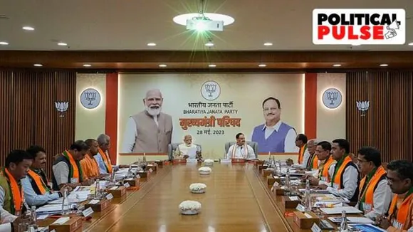 2024 Lok Sabha elections, bjp, BJP alliances, Opposition parties, indian express, political pulse