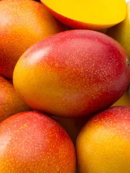 শিরোনামহীন ডিজাইন - 2023-06-14T175002.349