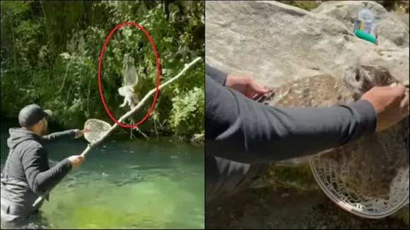 man, owl, rescue video, viral video, trending, trending stories,