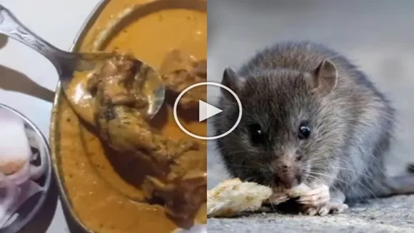 Viral Video Today,Chicken Curry Me Chuha,Lunch Me Khilaya Chuha,Khane Me Mila Chuha,Ludhiana Viral Video,Google Trends,Trending Video,OMG Video