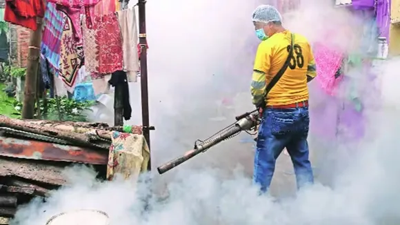 Dengue, Bidhannagar Municipal Corporation (BMC)