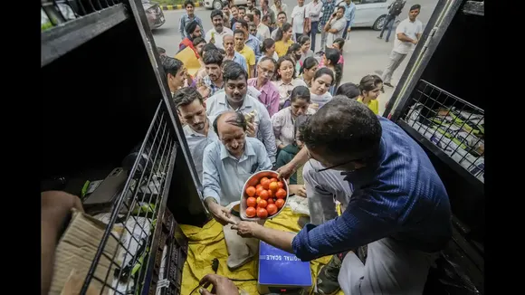 Delhi NCR,Tomato,Tomato Prices,Tomato Rate,Delhi-NCR,Cheap Tomatoes