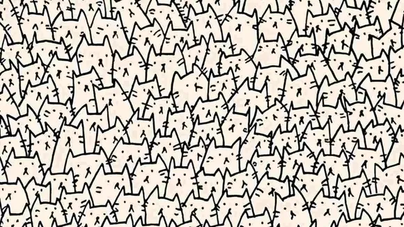 Find the Hidden Dog, find the hidden dog among the cats, can you spot the hidden dog among cats