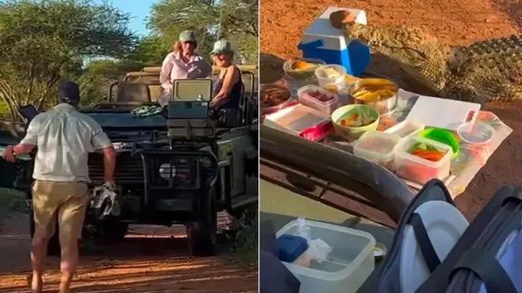 ice box,Crocodile invades a picnic,shocking video,crocodile comes at picnic,crocodile out of water,wildlife viral video,picnic in the forest,crocodile video,animal videos,trending video,viral video