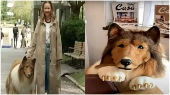 Man spent 12 lakh to become a dog, Japanese Man Always Wears Dog Costume, Man spends 12 lakh to become a dog, 12 Lakh Ultra-Realistic Dog Costume, Man Lives Life of Dog, Japan News, Japanese Man Always Wears Dog Costume, 1 Lakh Ultra-Realistic Dog Costume, Man Lives Life of Dog, Twitter Viral