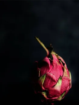 শিরোনামহীন ডিজাইন - 2023-07-02T145123.759