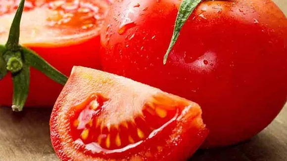 World's Most Expensive Tomato Seeds
