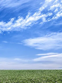 রাশিফল সোমবার 10 জুলাই 2023