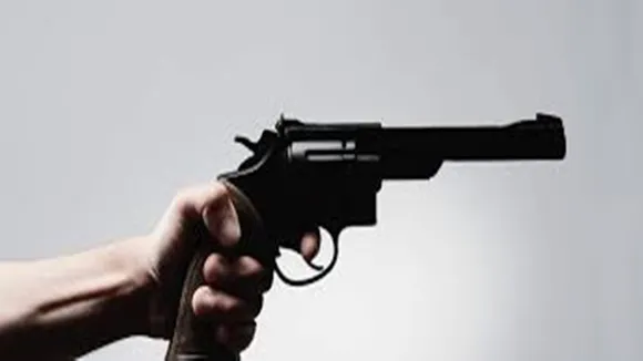 Gun Violence