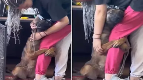 dog emotional video, woman adopt dog video, woman hugging dog viral video, dog hugging woman video, dog hug woman feet video, dog showing emotions video, weird news, latest news, trending news, ajabgajab, shocking news, latest news