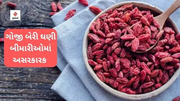 Goji-Berries-unsplash