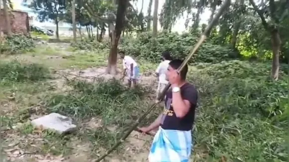 tmc workers cuts bamboo to prevent attacks