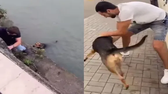 man save dog, man save drowning dog, dog in river, man save drowning dog viral video, emotional video, dog emotional video, man helping dog video, man rescue dog from river, dog rescue video, dog emotional video, weird news, latest news, trending news, ajabgajab, shocking news, latest news in hindi, weird news in hindi, ajabgajab, viral news, hatke news, amazing news