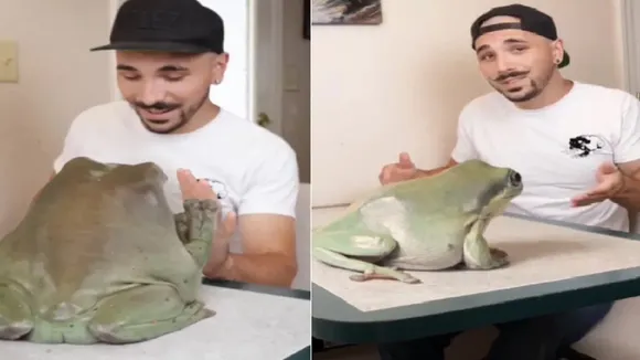 Frog, shocking video, trending videos, viral videos"