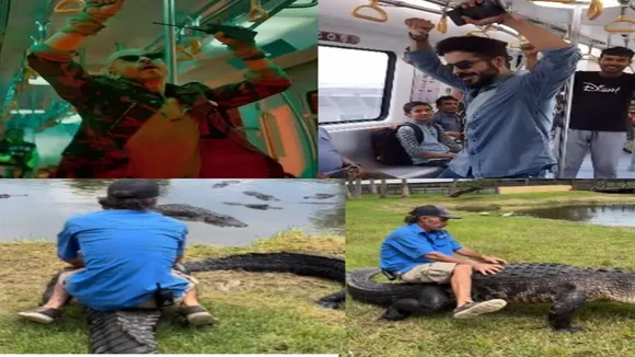 Crocodile video, crocodile video, crocodile viral video, viral video,,