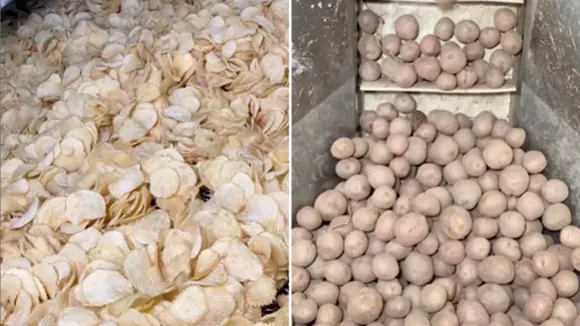 "potato chips making video, potato chips viral video, potato chips in factory, potato chips video, how potato chips are made, potato chips video, potato chips factory video, chips making in factory, potato chips making in factory viral video, weird news, latest news, trending news,