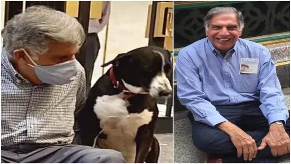 ratan tata,rescue dog,reunite,family,instagram"