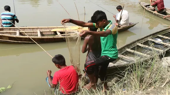 gharial rescued from fulhar river malda utsabtola , মাছ ভেবে নদী থেকে জাল তুলতেই মাঝিদের চক্ষু চড়কগাছ! দে ছুট! গ্রামজুড়ে শোরগোল