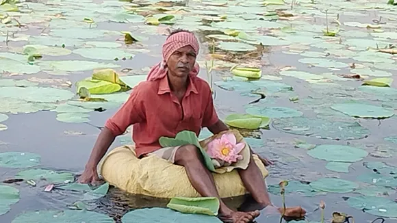 Sheikh Babar cultivating lotus flowers for 30 years for Maa Durga puja