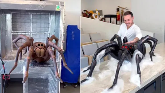 Halloween,Chocolate,chocolate spider,Viral food news,Amaury Guichon instagram,viral news