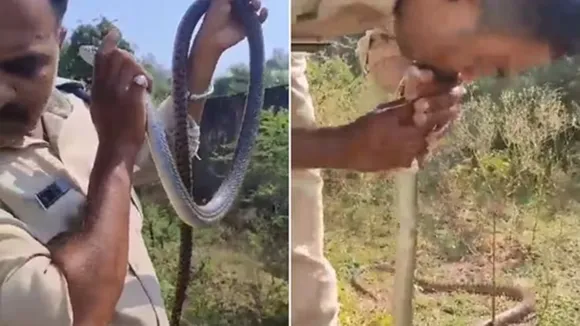 Cop,CPR,Snake,Viral,Video,