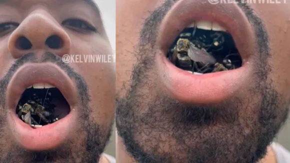 Viral news, Viral video, Viral video today, Viral video bees, Bees kept in mouth, Trending video