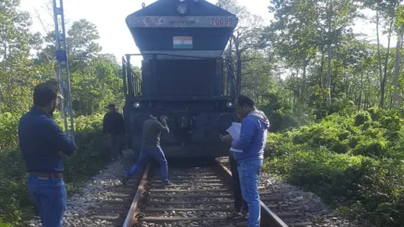 3 elephant are died in qualition by train at north bengal