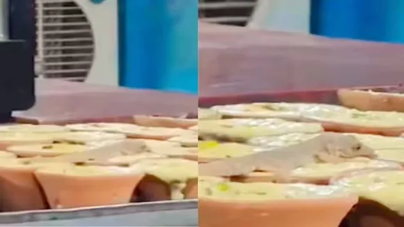 Video Viral, Trending News, Trending News Hindi, Trending News In Hindi, Viral, Viral Video, Viral News, Viral Funny Photo, Funny Video Viral, Funny Photos Viral, Social Media Funny Photos, Social Media Funny Videos, Trending Content, Bizarre News, OMG News, Weird News, Lizard Eating Sweets, Lizard in Sweet Shop, Lizard Eating Sweets on Shop, Lizard Eating Sweets Video, Lizard in Sweet Shop Video, Lizard Eating Sweets on Shop Video,,