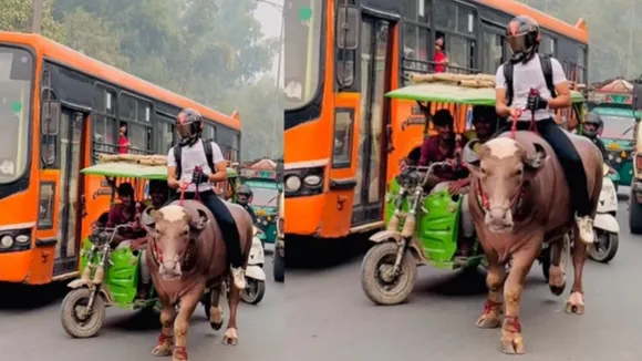 Viral Delhi Video,Viral Video Today,Viral News,Viral Video,Buffalo Viral Video Today,Buffalo Viral Video,Delhi Buffalo Traffic Video,