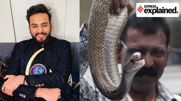 snake venom