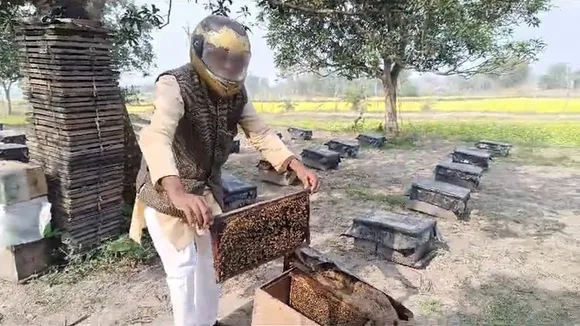 Malda honey farmers fear financial loss in honey cultivation