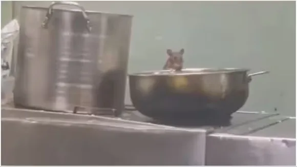 Rats Inside Train Pantry Video,11099 Mumbai Lokmanya Tilak Terminus-Madgaon Express,Madgaon Express,Mumbai- Lokmanya Tilak Terminus,Rats Inside Train Pantry,viral video"